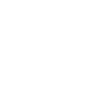 driving instructor