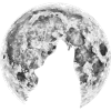 Wolf in the moon