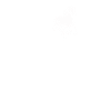 Horses heartbeat