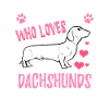 dachshund
