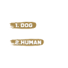 Agility dog training