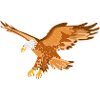 Eagle Bird of Prey