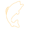 Fish silhouette carp