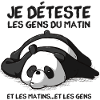 Panda flemme