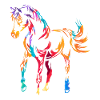 Arabian horse