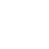 lawyer