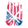 Guitar USA