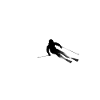 ski