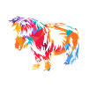 Shetland pony
