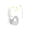 penguins