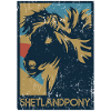 Shetland pony