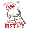 Holstein horse
