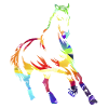 Holstein horse