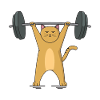Barbell de chat