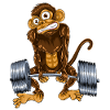 Monkey deadlift sport