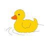 Duck - duck