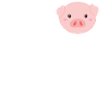 pig