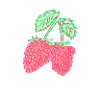 Raspberry - raspberry - plant