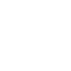 kitten