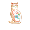 Anatomy cat vet
