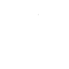 meerkat
