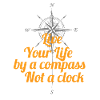 Travel Bug Compass Traveler Backpacking