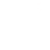 Car Seller