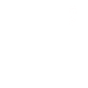Salesman