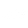 Evolution Surf Surfer
