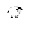 sheep