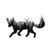 Fox forest nature