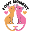 Chat chat amour miaou