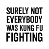 Combat de Kung Fu
