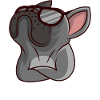 Bouledogue français Nope Frenchie