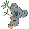 KOALA Bear 2