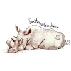 White Rhinoceros