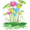 bunte Seerosen Blumen