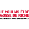 Gosse de riche