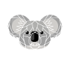 Koala Australia