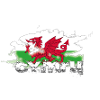 Wales merchandise