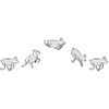 bouncing sheep
