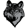 Wolf head