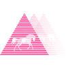 équitation
