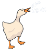 Honk Honk Goose