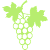 bunch grape vine leaf 27
