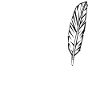 writer