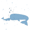 whale