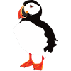 Puffin Solo