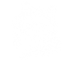 racoon