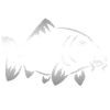 Carp logo